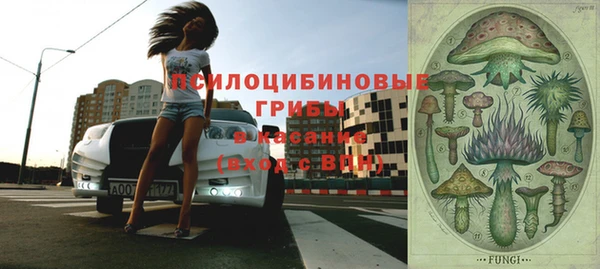 спиды Алексин