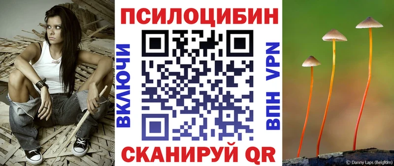ссылка на мегу зеркало  Бокситогорск  Галлюциногенные грибы Psilocybe  дарнет шоп 